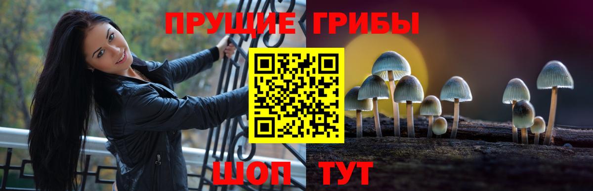 Псилоцибиновые грибы Psilocybine cubensis Алатырь